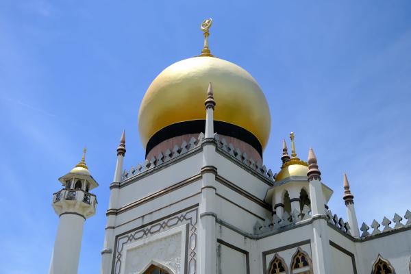Sultan Mosque 苏丹回教堂